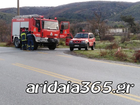 foustani-pellas-pyrosvestiki.jpg