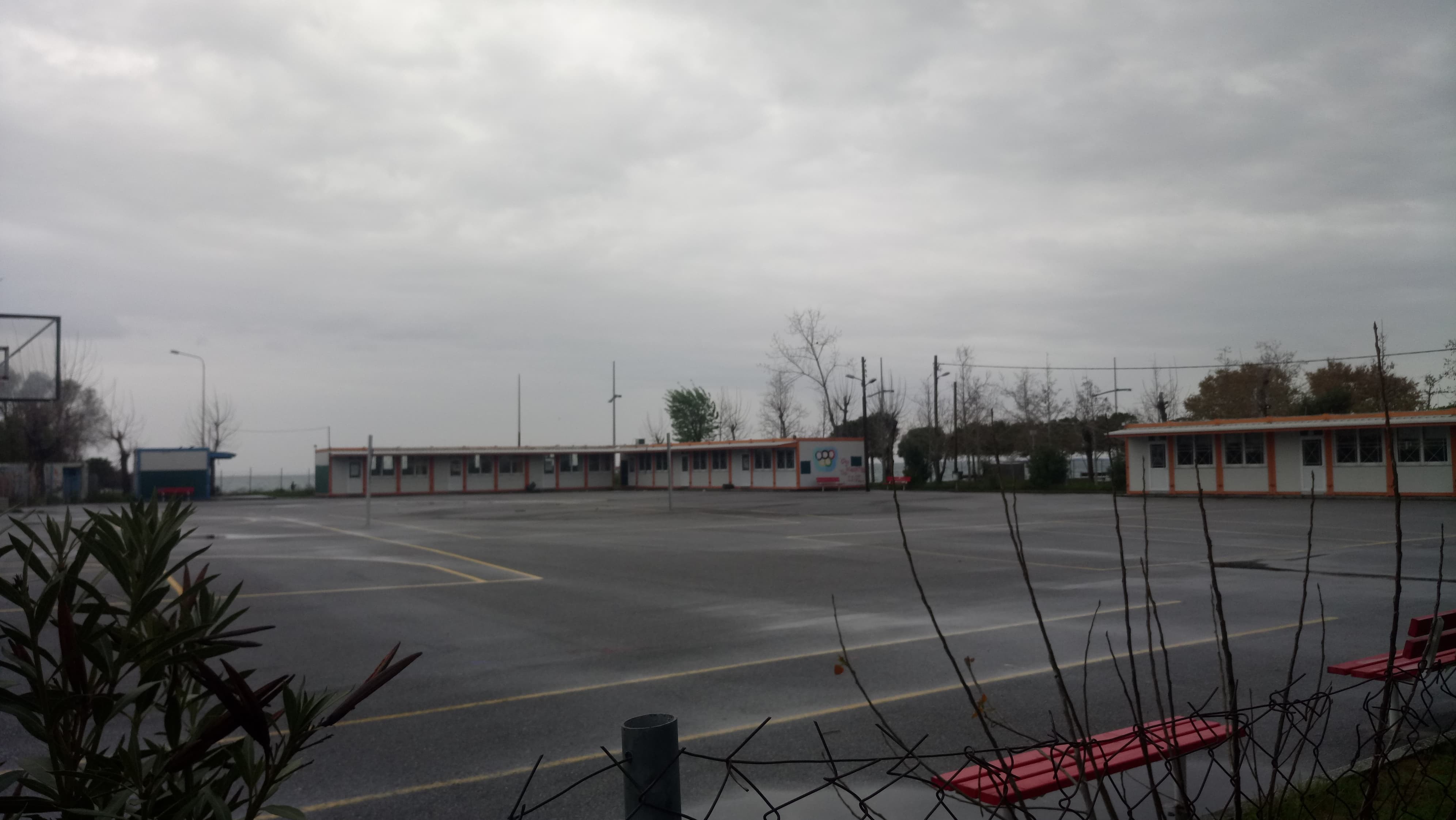 92053136-2940106259413893-7850361165161955328-n.jpg