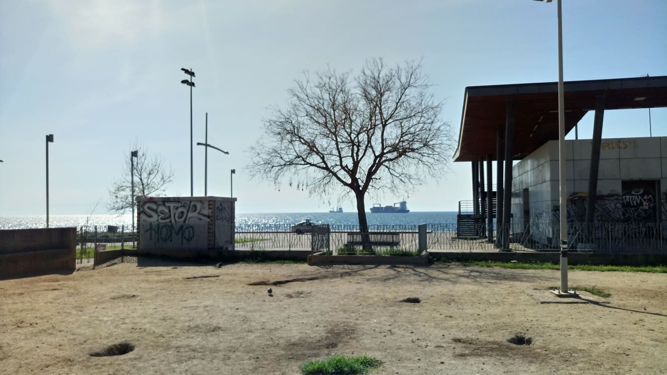 paralia-6-O1CXc.jpg