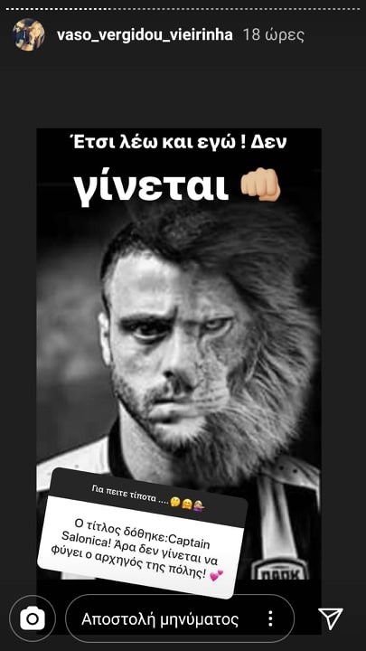 vieirinia-vaso-lion.jpg