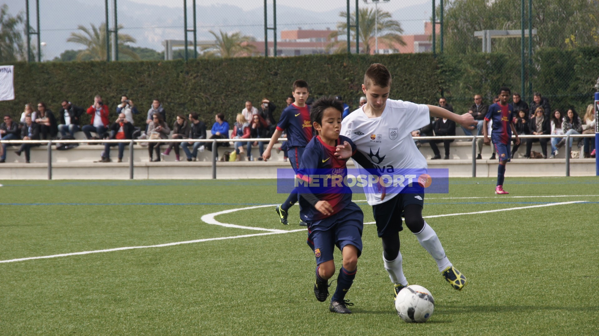 dsc04317-2.jpg