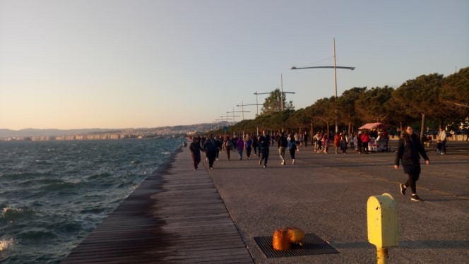 paralia-2-8AfZt.jpg