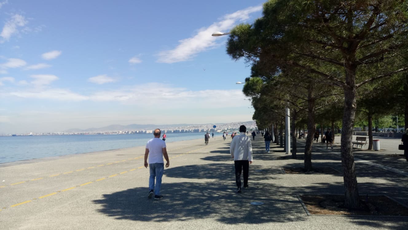 paralia-2-cKDJy.jpg
