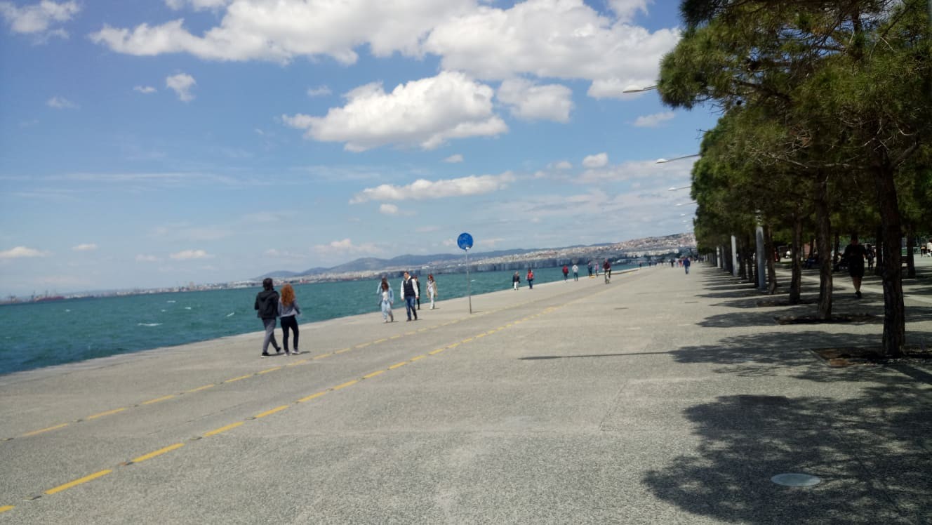 paralia-2-sml5t.jpg