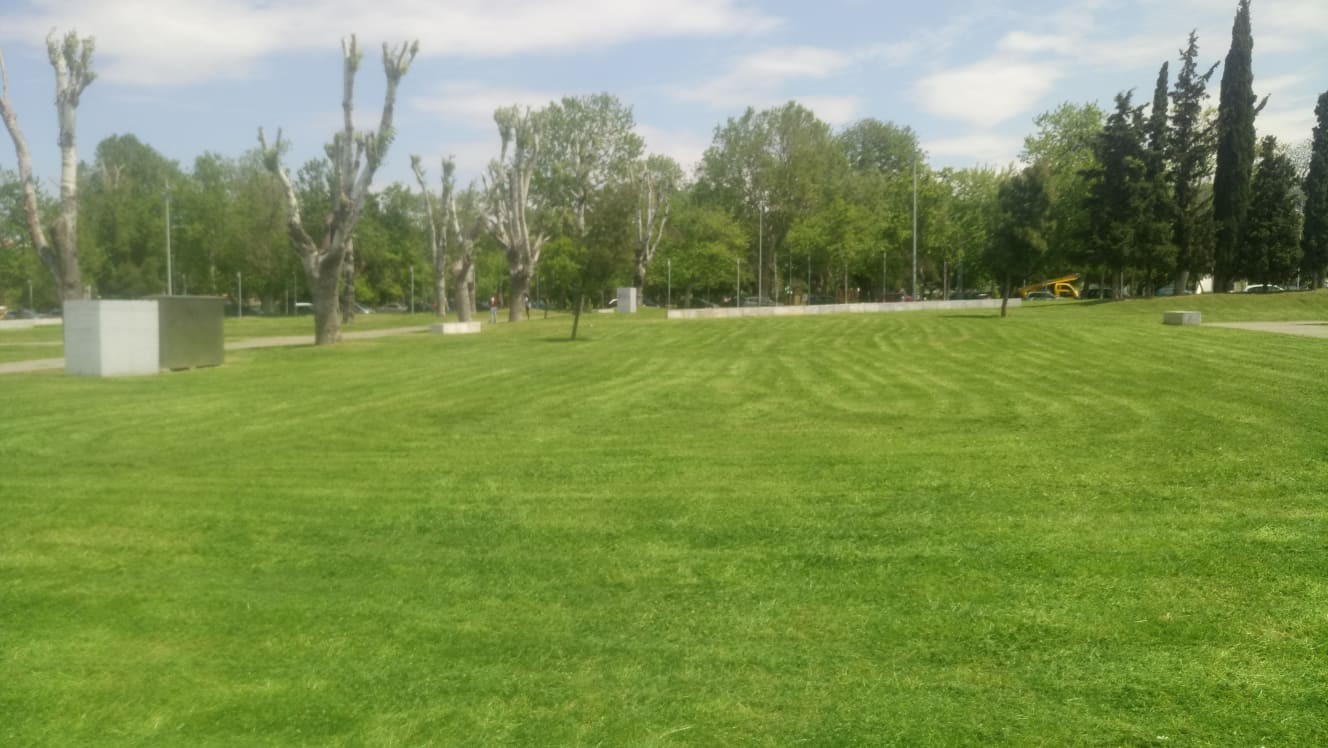 paralia-4.jpg