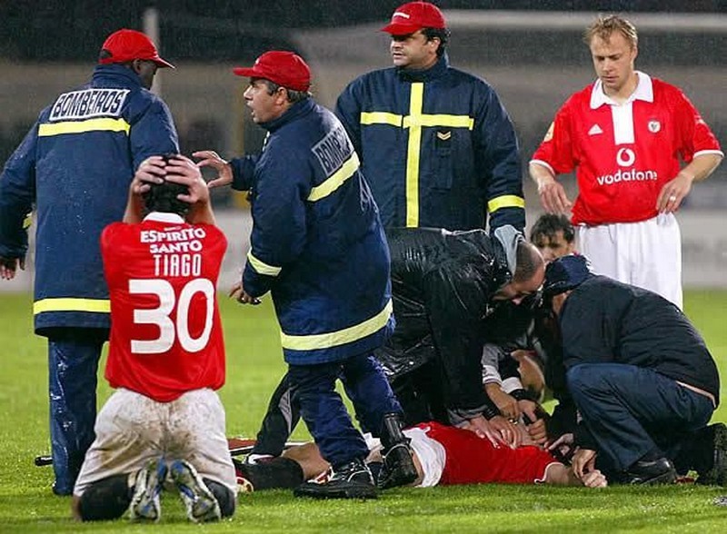 feher.jpg