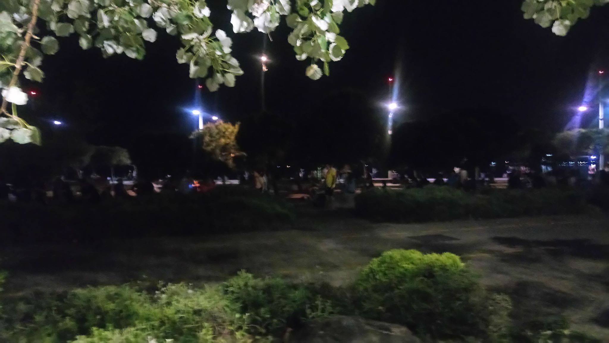 paralia-2.jpg