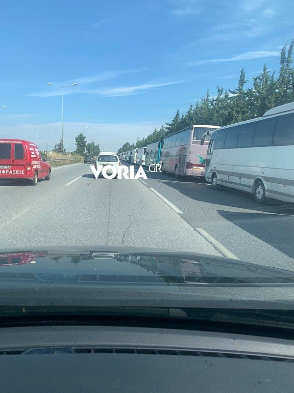 buss.jpg