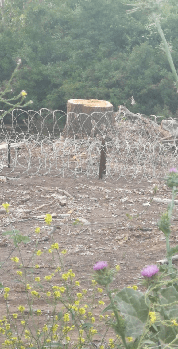 evros-1.png