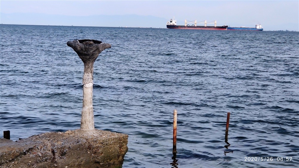 paraliaa.jpg