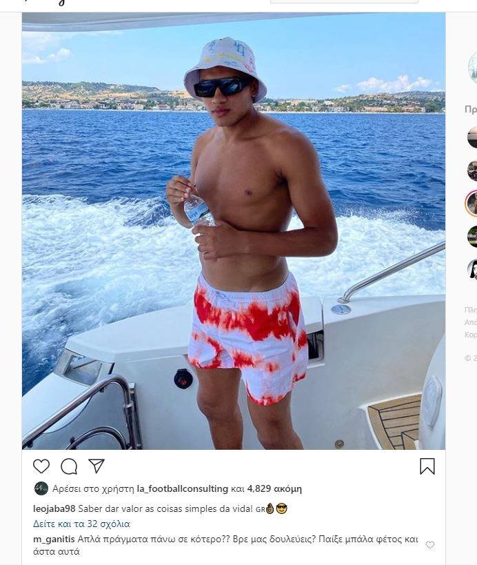 zamba.jpg