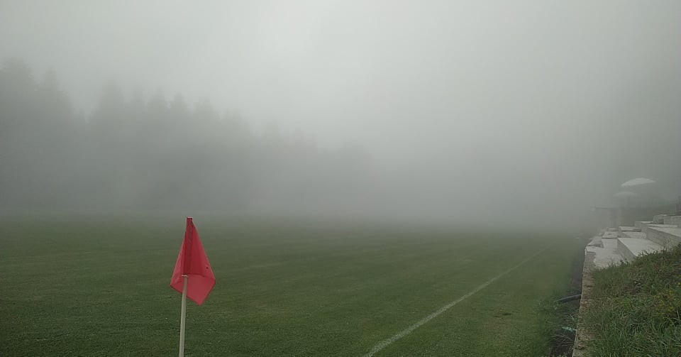 aris-150820.jpg