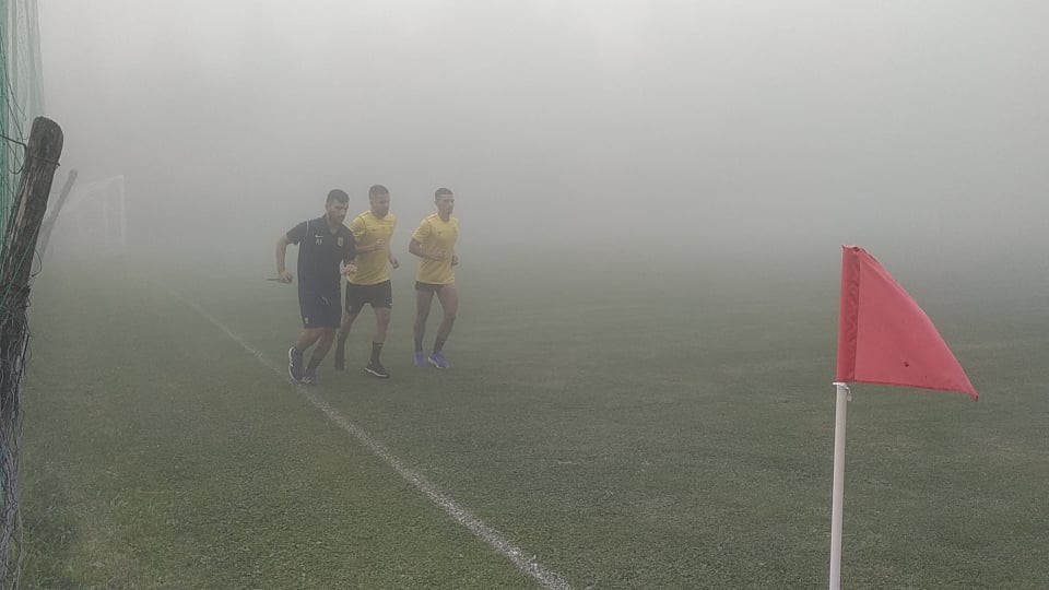 aris-1508202.jpg