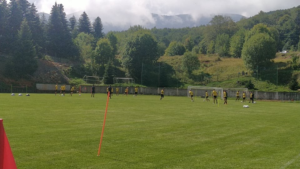 aris1608202.jpg