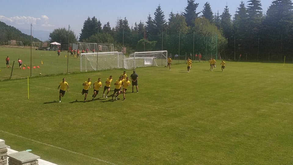 aris-2208203.jpg