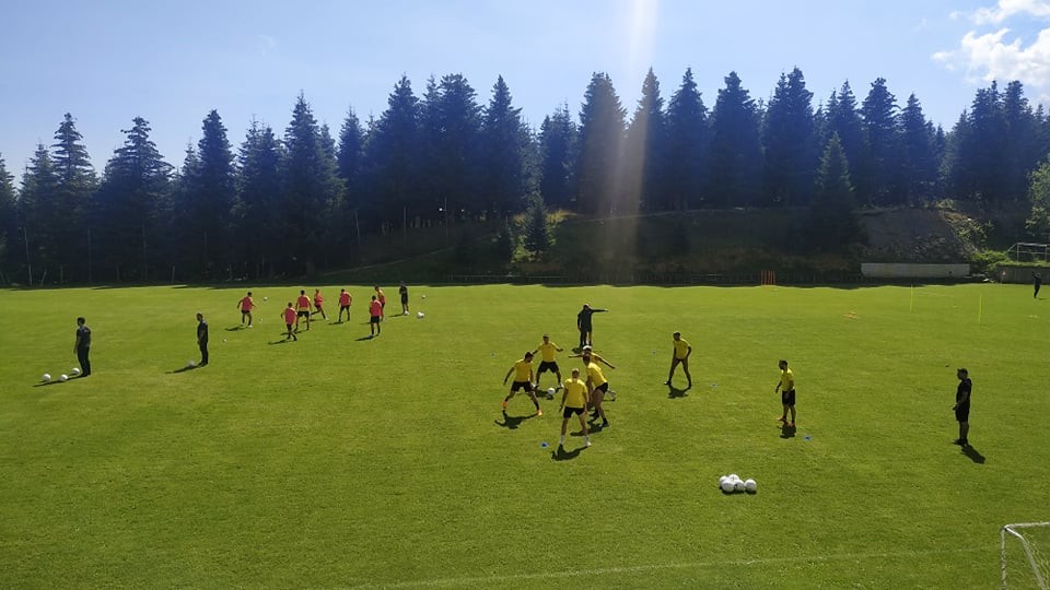 aris-230820.jpg