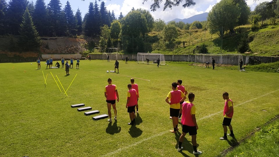 aris-2308202.jpg