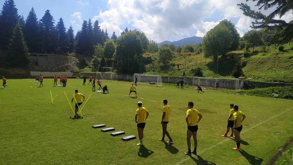 aris-2308204.jpg