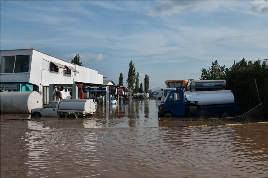 karditsa03.jpg