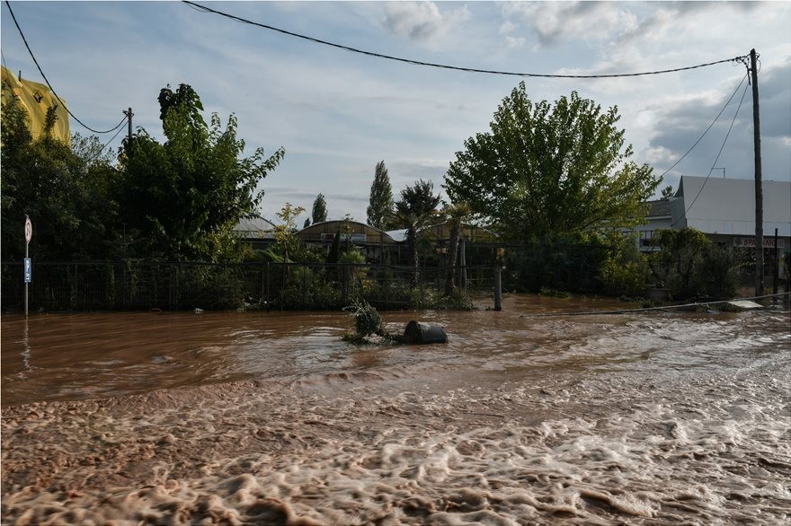 karditsa04.jpg