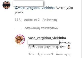 vieirinia-vaso.JPG