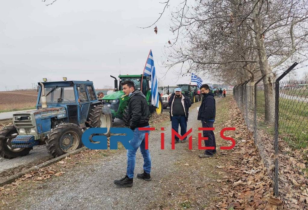 agrotes333.jpg