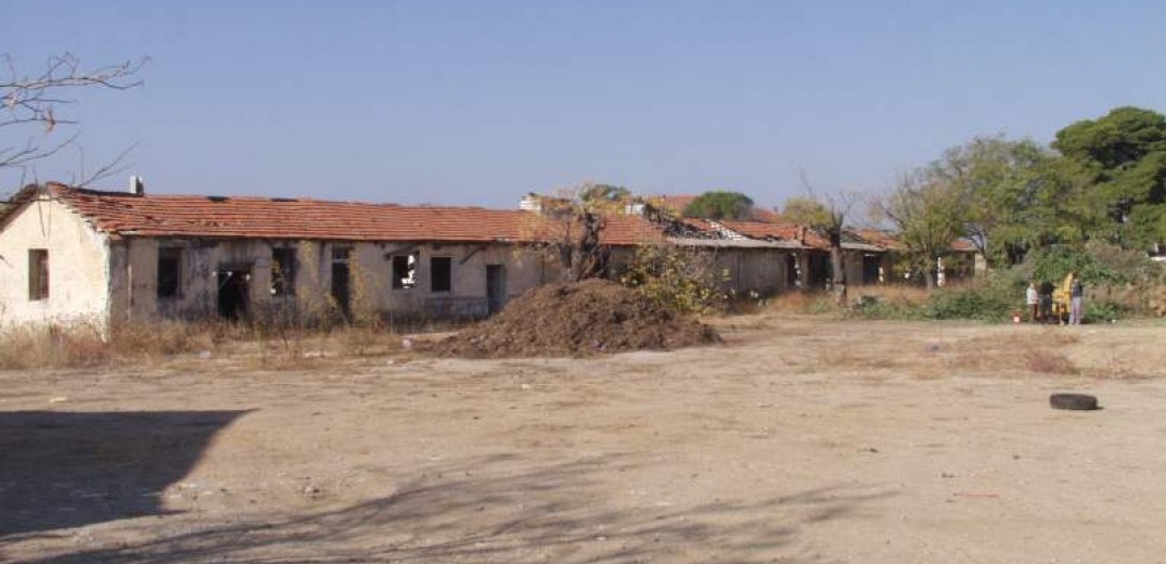 kodra-6.jpg