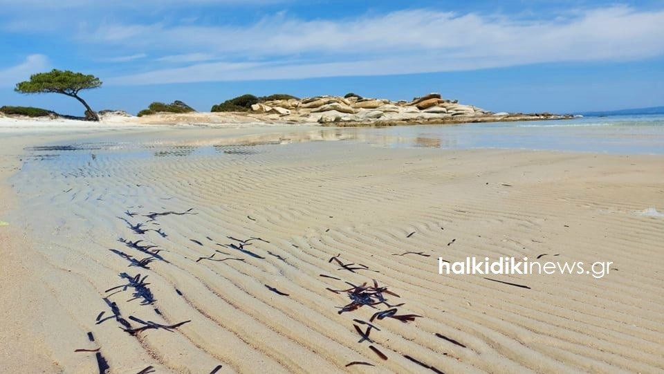 xalkdiki-1.jpg