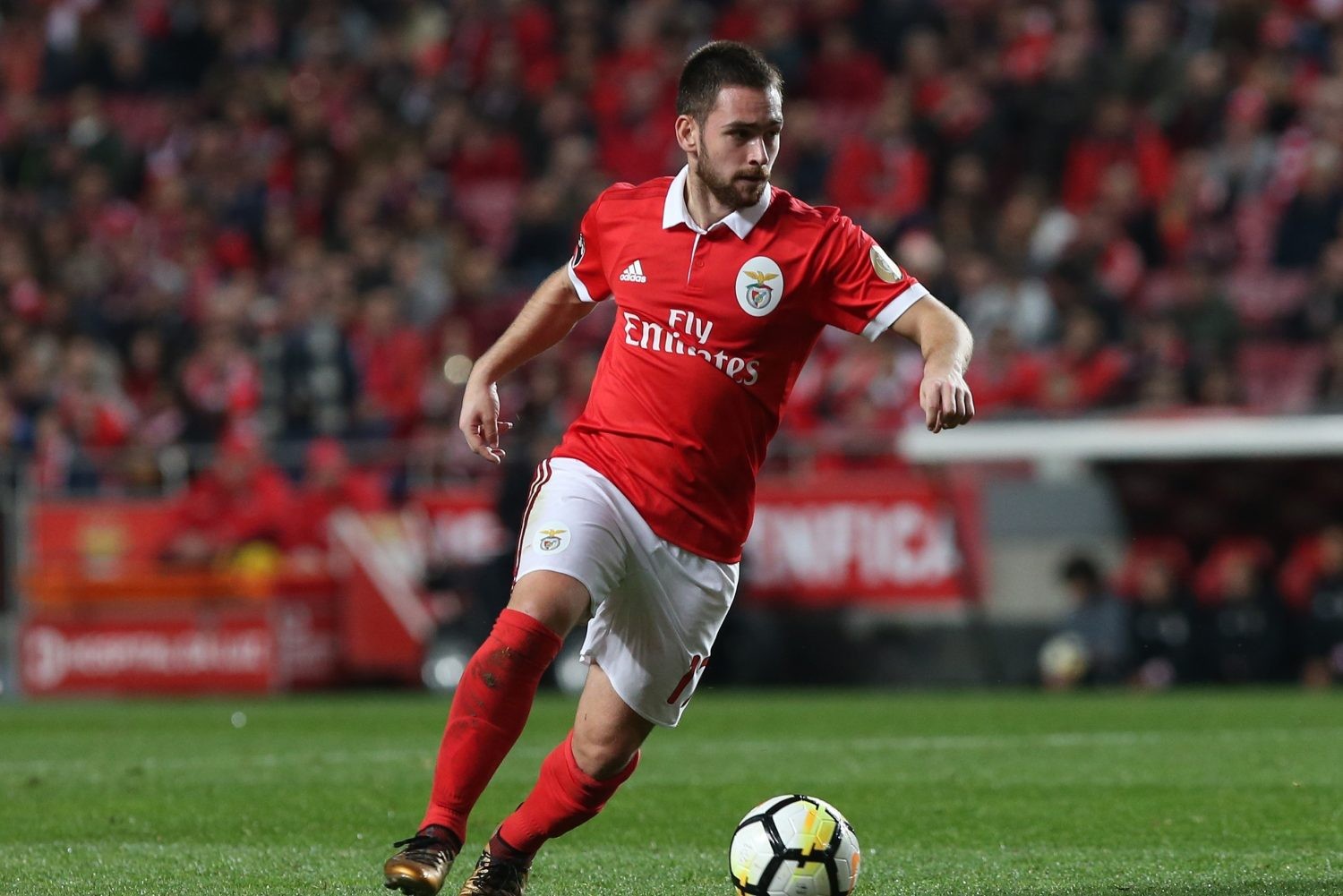 zivkovic-benfica.jpg