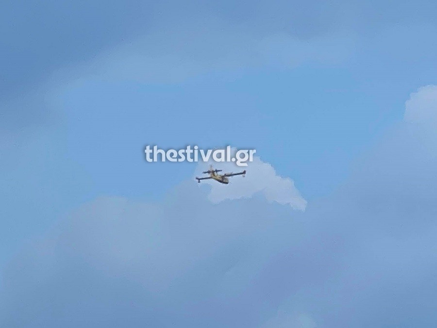 cananter.jpg