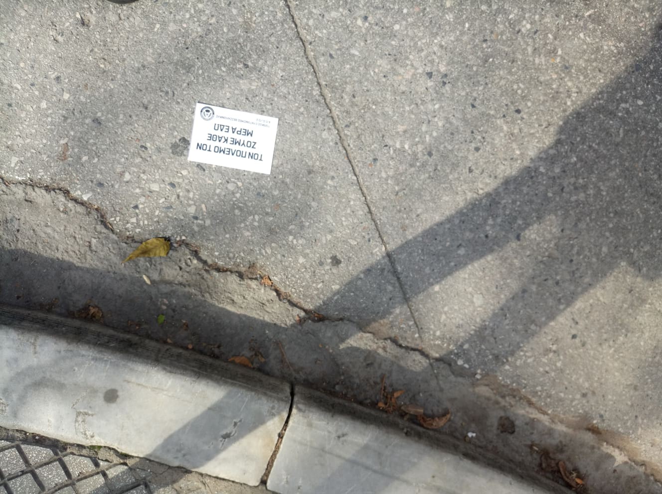 253767427-2067094380132294-6478930209778088757-n.jpg