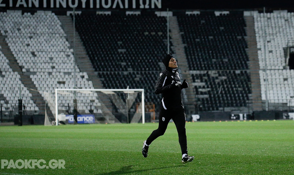 zampa-paok.png