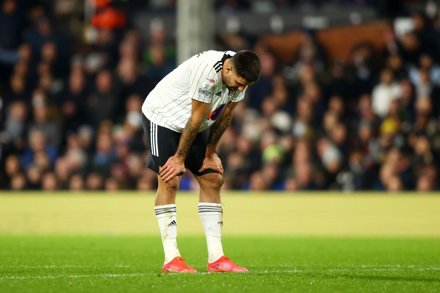 aleksandar-mitrovic.jpg
