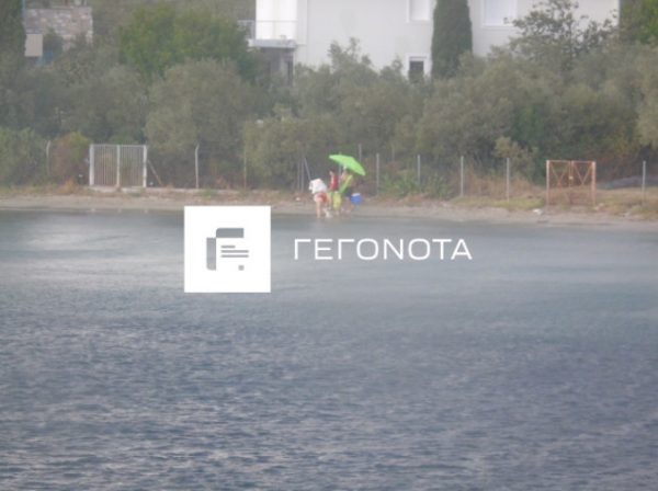 volosthiela2-600x448.jpg