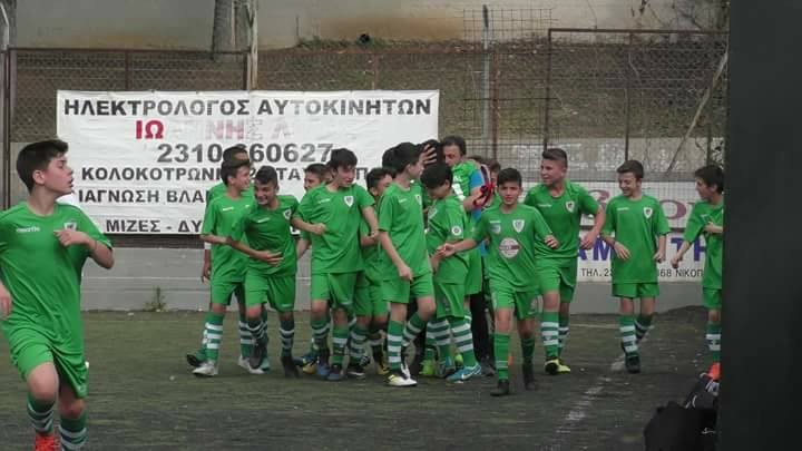 agrotikos-asteras.jpg