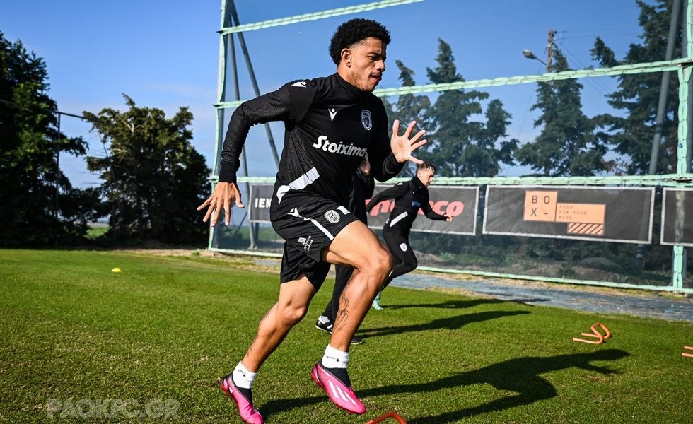 taison-2.jpg
