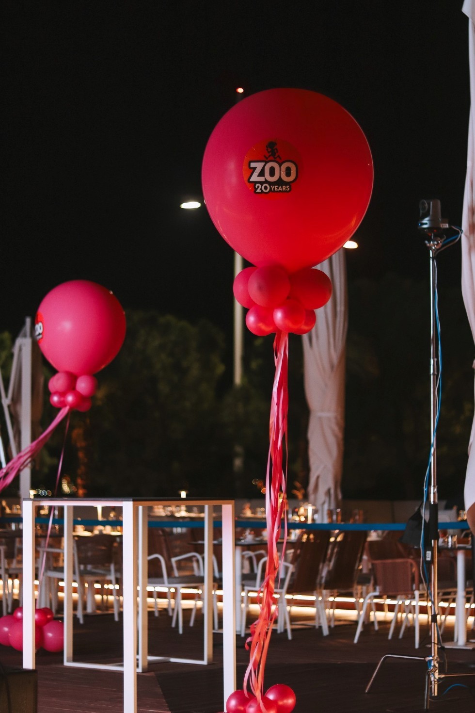 zoo-1.jpg