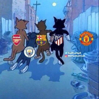 real6.jpg