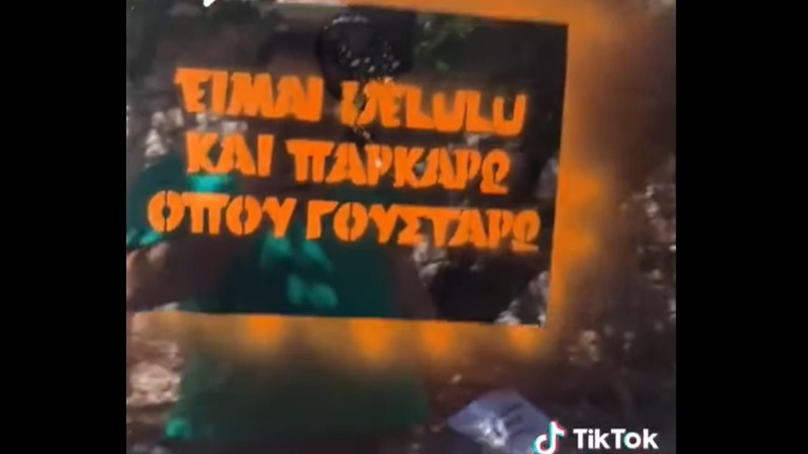 dellulu-parkarisma.jpg