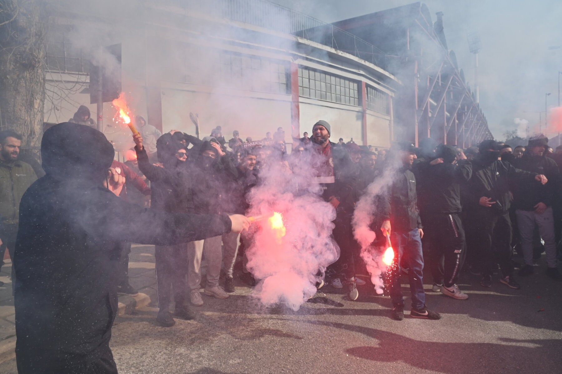ael.jpg