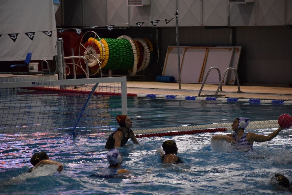 iraklis-polo-2.jpg