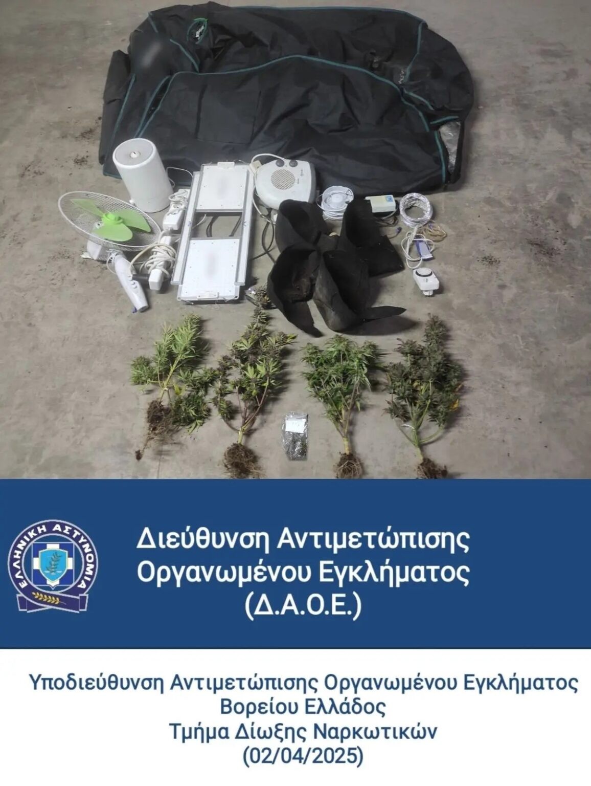 cannabis-skg.jpg