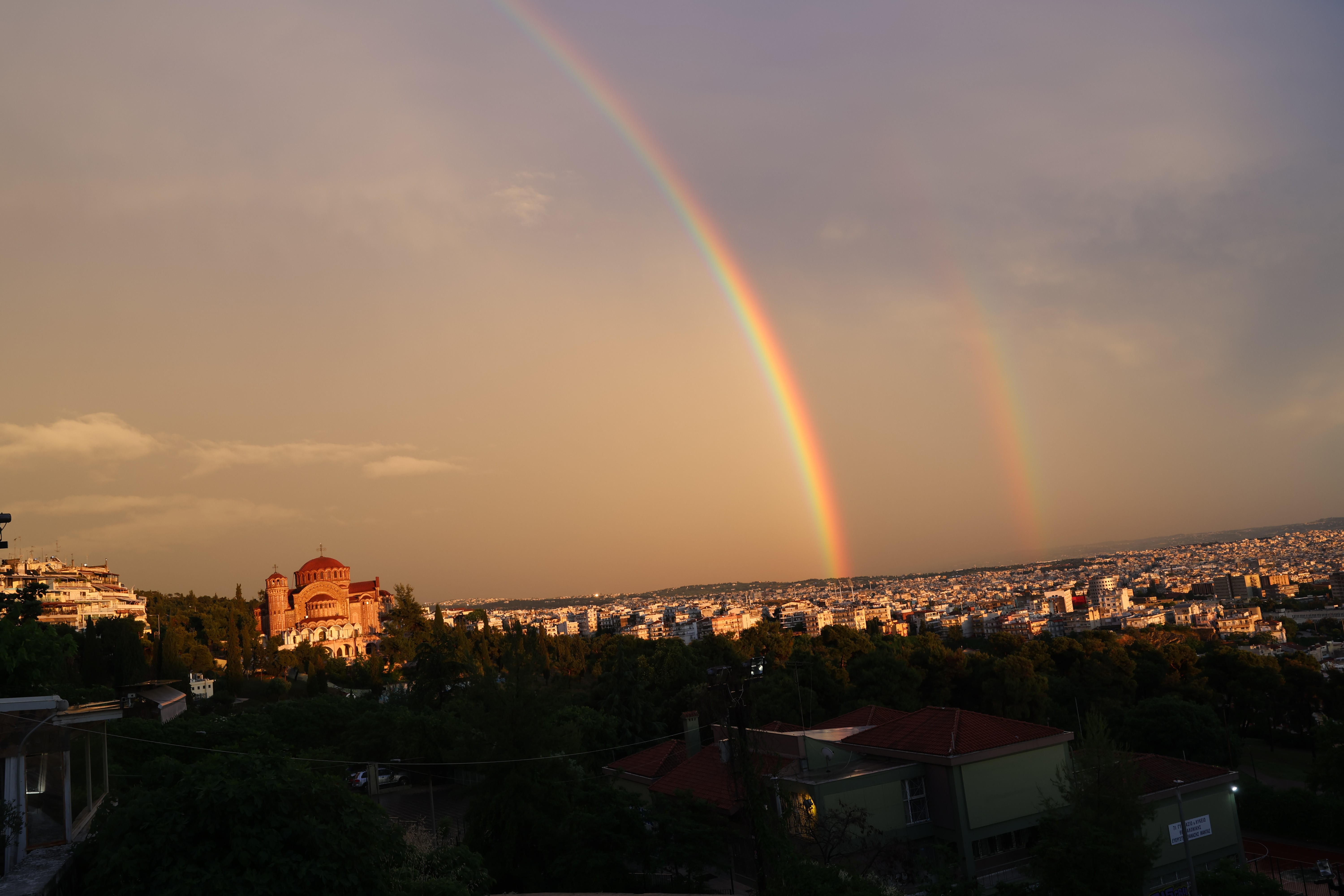 6570048.jpg