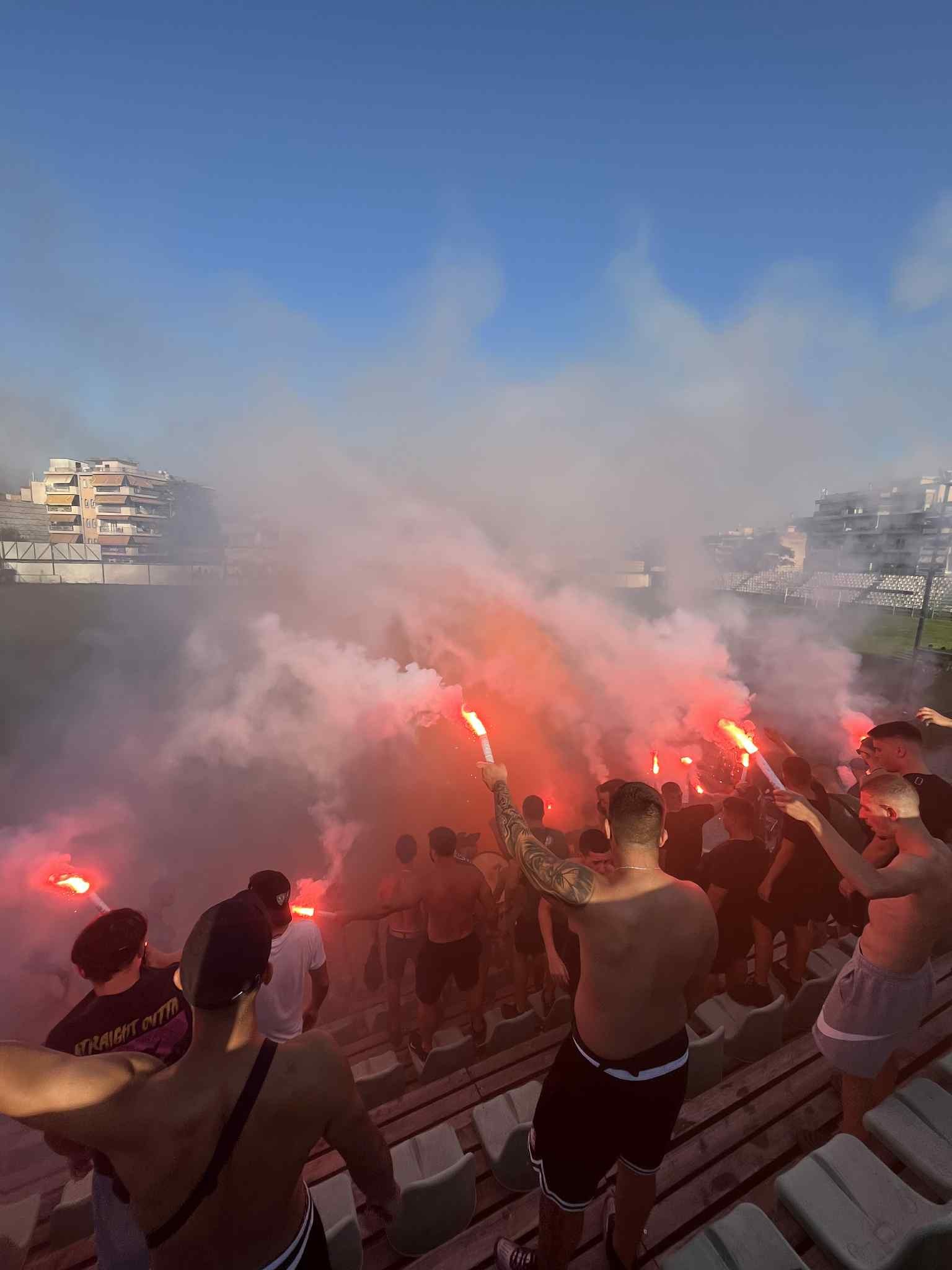 agrotikos-asteras.jpg