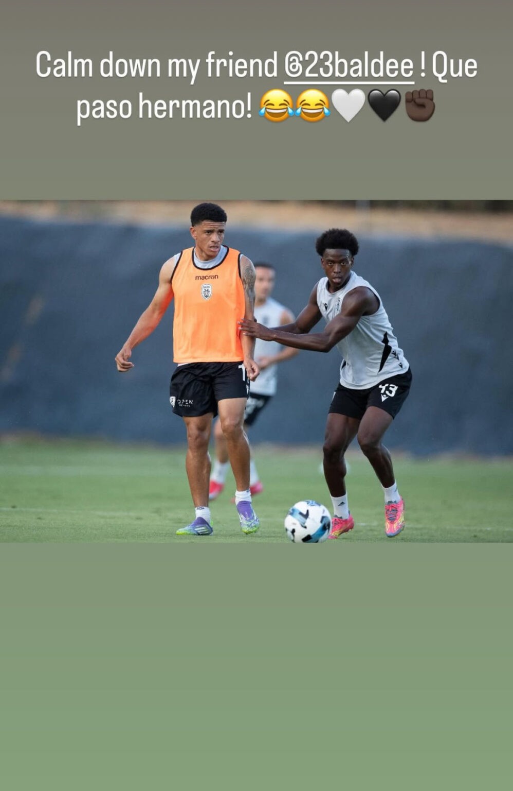 taison-balde.jpg